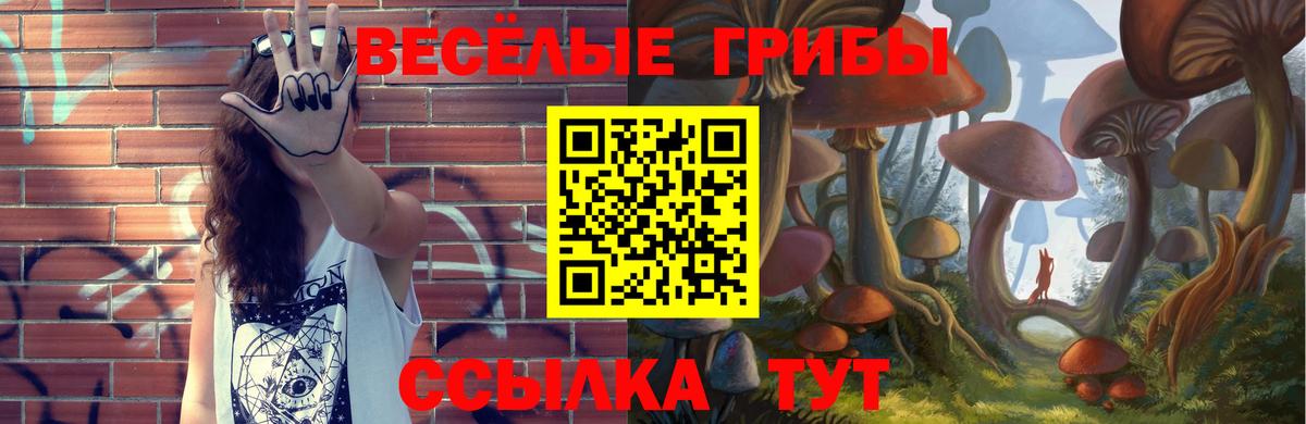 сколько стоит  Вход с VPN  Майкоп  Галлюциногенные грибы мицелий 